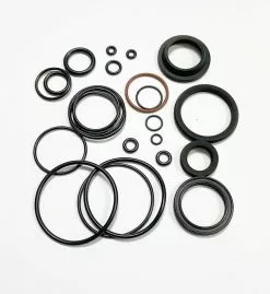 Andreani Kit Revisione Brain 2.0 2018/2020